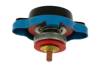 D1Spec Radiator cap with thermometer 28mm 1.1 Bar Blue