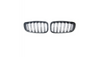 Sport Grille Dual Line Gloss Black suitable for BMW 1 (F20, F21) Hatchback Facelift 2015-2019