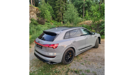 Splitter Audi e-Tron S-Line Rear Central with Diffuser