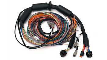 Haltech Nexus R3 universal cable set 2.5 m