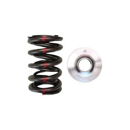 Brian Crower Dual Spring/Titanium Retainer Kit (Nissan SR20Ve) BC0240