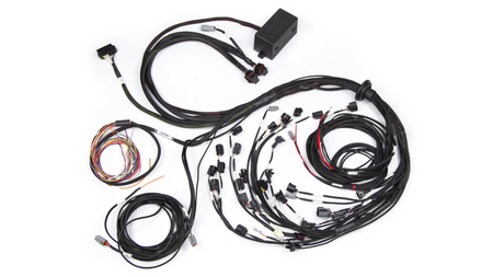 Elite 2500 engine wirening for Ford Falcon BA/BF Barra 4.0L I6 - Injector connector: Bosch factory EV1