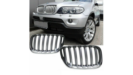 Grill BMW X5 E53 Facelift pojedyncze żeberka Chrome & Matt Silver