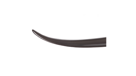 Lotka BMW 3 F30 Lip Carbon