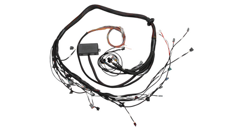 Elite 2000/2500 Toyota 2JZ engine wiring kit terminated with connectors