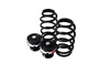 Sport Suspension D2 Racing AUDI A3 HATCH 3D 8P ?55 03-12