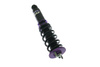 Street Suspension D2 Racing HONDA CIVIC EG SINGLE CAM (Rr EYE) 92-95