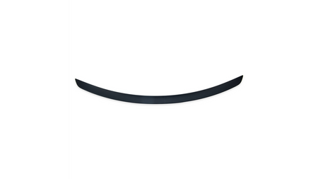 Lotka Mercedes-Benz CLS C257 Lip Matt Black