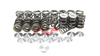 Valve springs Opel / Vauxhall 2.0 Z20LET Z20LEH retainers, seats FCP