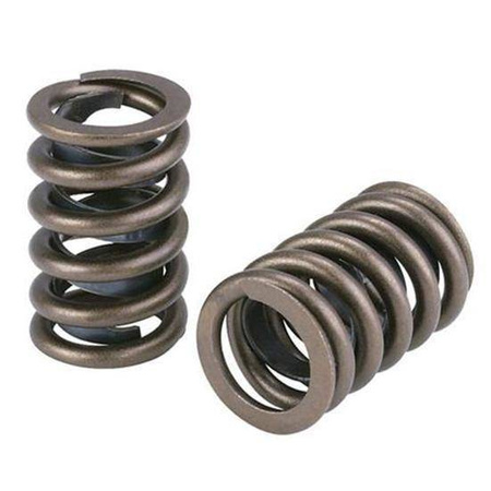 Supertech M50/M52/M54 Double Valve Spring Set