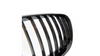 Grill BMW X5 E53 pojedyncze żeberka Gloss Black