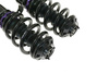 Street Suspension D2 Racing AUDI S3 8L 4WD ?50 99-03