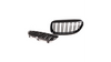 Grill BMW 6 E63 E64 Dual Line Gloss Black