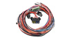 Universal Programmable EMS-4 Harness AEM ELECTRONICS