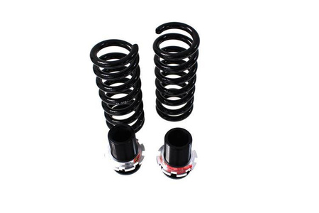Street Suspension D2 Racing BMW 1 SERIES F21 4/6 CYL (excl. M-Technik. xDrive & EDC) 11-UP