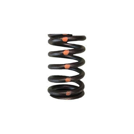 Brian Crower Valve Springs - Single (Subaru Ej205-Wrx / Ej257-Sti) BC1600