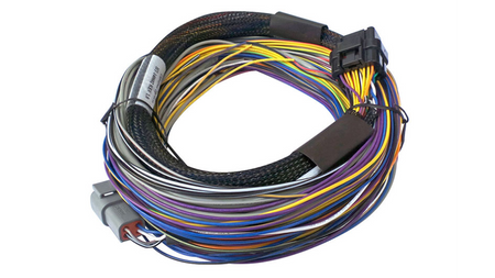 Haltech Universal cable for connecting Elite 750, 2.5 m