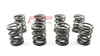 Valve springs VW / Audi 1.8 2.0 8V FCP