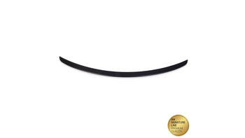 Spoiler Mercedes-Benz CLS C219 Lip Matt Black