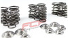 Valve springs VW / Seat / Skoda / Audi S3 TT 1.8T 2.0 20V AEB retainers FCP