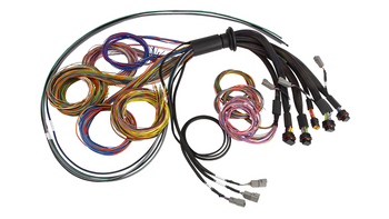 Haltech Universal cable for mounting NEXUS R5 2.5 m