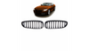 Grill BMW Z4 E89 pojedyncze żeberka Gloss Black
