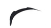 Spoiler Cap Toyota Supra V Gloss Black