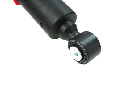 Suspension TurboWorks Honda Civic V VI, Acura Integra III (REAR EYE)