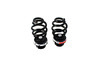 Drift Suspension D2 Racing BMW 3 SERIES E46 6 CYL 98-05