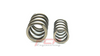 Valve springs Audi 200 S2 RS2 S4 S6 2.2 20V FCP