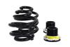 Street Suspension D2 Racing VOLKSWAGEN BORA 4WD ?50 98-05
