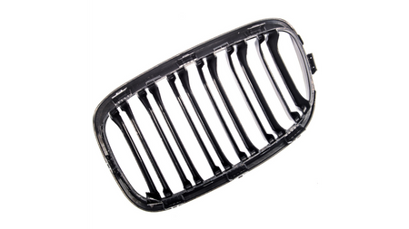 Grill BMW 1 F20 F21 Dual Line Carbon Look