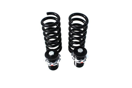 Street Suspension D2 Racing BMW 1 SERIES F20 4/6 CYL (excl. M-Technik. xDrive & EDC) 10-UP