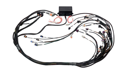 Elite 2000/2500 GM GEN IV LSx (LS2/LS3 itp.) Terminated Harness bez sterowania przepustnicą Drive-By-Wire (DBW)