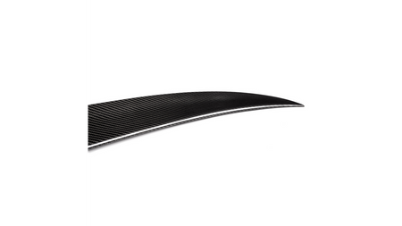 Lotka BMW 3 F30 Lip Carbon