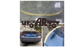 Lotka BMW 4 G22 Lip Gloss Black