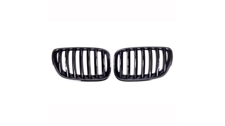 Grill BMW X5 E53 single rim Gloss Black