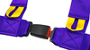 Racing seat belts Slide V2 PURPLE 4P 3" E4