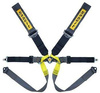 Racing seat belts Sabelt Formula Gold 6-points (CCG633FND) FIA