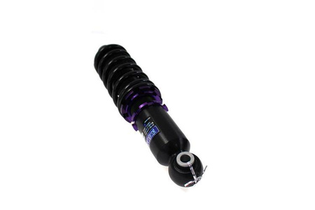 Street Suspension D2 Racing MINI COOPER (R50) 01-06
