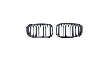 Grill BMW 3 F34 Dual Line Gloss Black