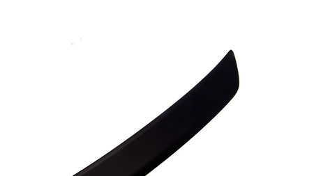 Lotka Mercedes-Benz CLS C218 Lip Matt Black