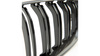 Grill BMW 4 F32 F82 F33 F83 F36 Dual Line Carbon Look
