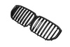 Grill BMW X5 G05 F95 pojedyncze żeberka Matt Black