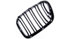 Grill BMW X5 E53 Dual Line Gloss Black