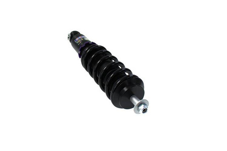 Street Suspension D2 Racing MINI COOPER (R50) 01-06