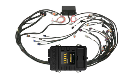 Elite 2500 + GM GEN III LS1 & LS6 non DBW for Injector Connection Injector Connector: Bosch EV1 (according to factory standards)