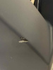 Bumper BMW 5 F10 F11 Front PDC SRA DAMAGE