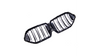 Grill BMW X6 G06 F96 Dual Line Gloss Black