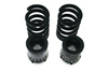 Street Suspension D2 Racing DODGE CHARGER 06-10